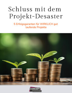 Schluss mit dem Projekt-Desaster