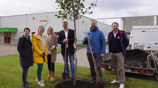 Ein Apfelbaum für gesundes Wachstum