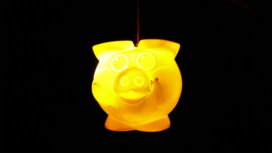 Schwein gehabt? VR Bank in Holstein spendet für Vereine der Region