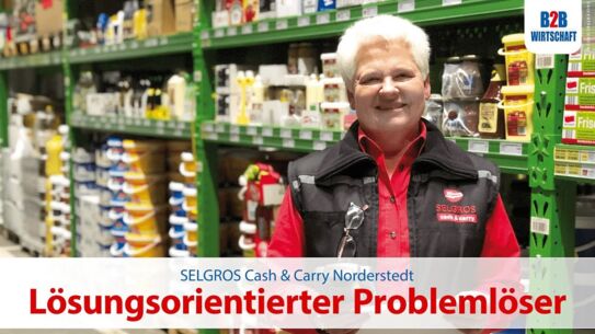 Lösungsorientierter Problemlöser